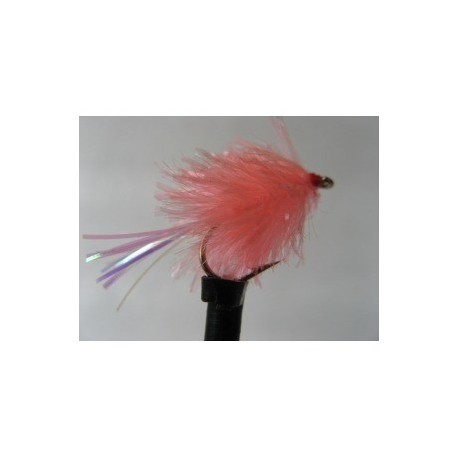 Blobs coral flashtail blob $2.34