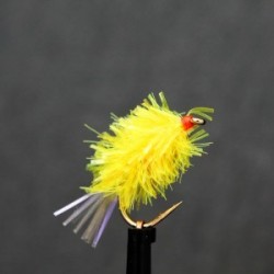 Blobs sunburst midget gem $2.34