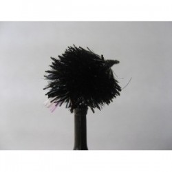 Blobs uv black flashtail blob $2.34