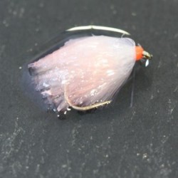 Blobs white coral milk shake jelly blob $2.34