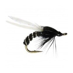 Buzzer black orange anorexic okey dokey $2.34