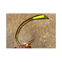 Buzzer Buzzer Sugar Cube Orange $2.34