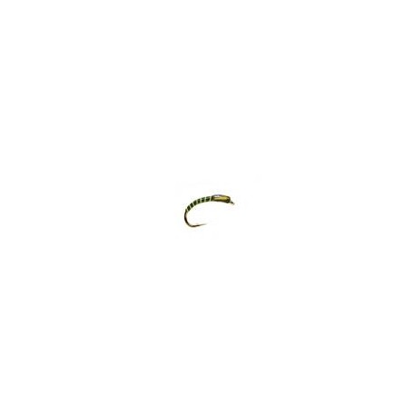 Buzzer Flo Green Ribbed Olive Buzzer $2.34