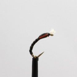 Buzzer monroe s epoxy buzzer $2.34