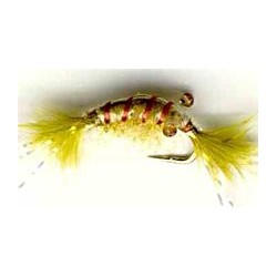 Nymphs olive scud button $2.34