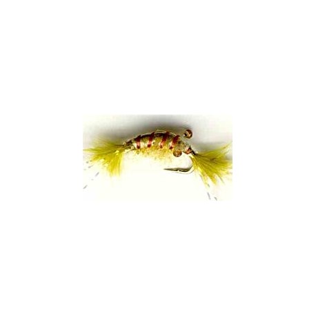 Nymphs olive scud button $2.34