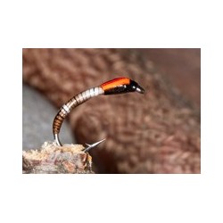 Buzzer Peccary Bristle Buzzer $2.34