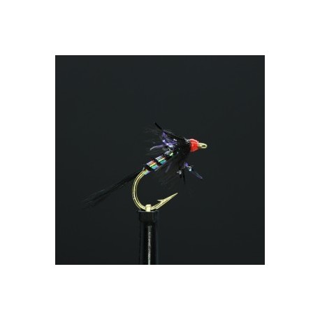 Nymphs menteith standard cruncher $2.34