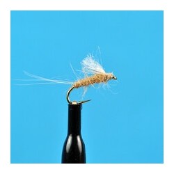 Nymphs RS  Tan $2.34