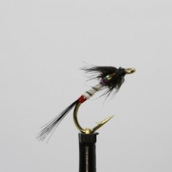 Nymphs white holo cruncher $2.34