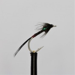 Nymphs black quill holo green cheeks cruncher $2.34