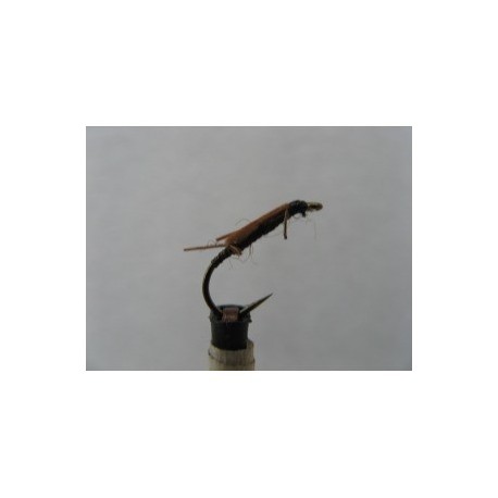 Nymphs stonefly creeper nymph $2.34