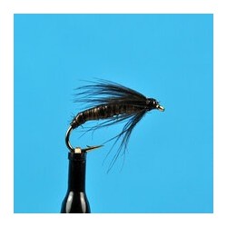 Nymphs Brachycentrus Larva $2.34