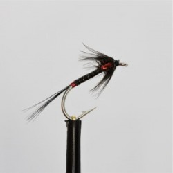 Nymphs black quill holo red cheeks cruncher $2.34