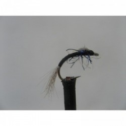 Nymphs w d  nymph $2.34