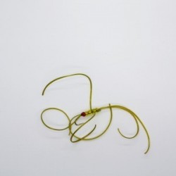 Nymphs northern golden olive blood worm $2.34