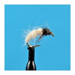 Nymphs White Larva $2.34