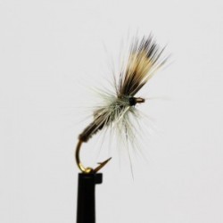 Nymphs ians straggler $2.34