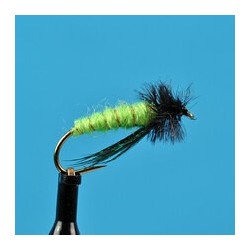 Nymphs Little Green Rock Worm $2.34