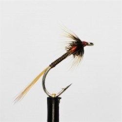 Nymphs standard quill holo red cheeks cruncher $2.34