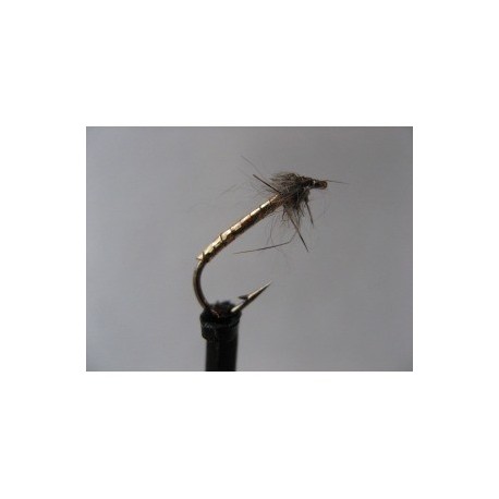 Nymphs holo gold hares ear $2.34