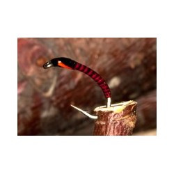 Buzzer red yellow flexifloss buzzer $2.34