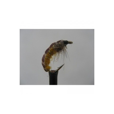 Nymphs amber wtd czech nymph $2.34