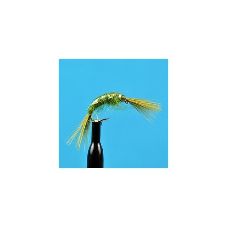 Nymphs Standards Scud Olive $2.34