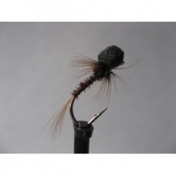 Nymphs Standards ians holo neon cruncher booby $2.34