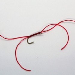 Nymphs Standards apps b w $2.34