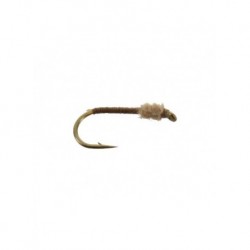 Nymphs Standards al s rat $2.34