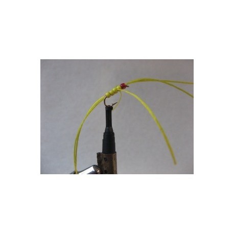 Nymphs Standards rainbow yellow apps b w $2.34