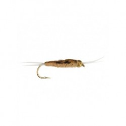 Nymphs Standards beadhead dragon stonefly $2.34