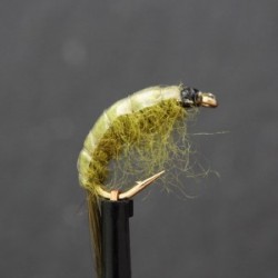 Nymphs Standards olive epoxy shrimp $2.34