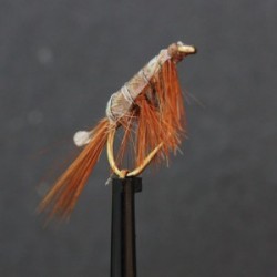 Nymphs Standards swimming shrimp $2.34