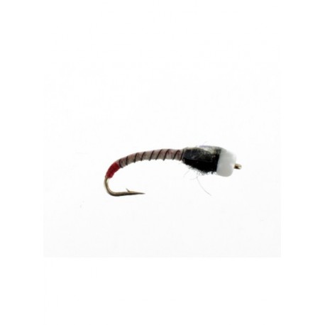 Nymphs Standards jojo chironomid zebra $2.34