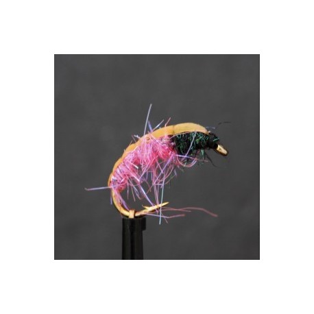 Nymphs Standards sparkle orange wtd czech nymph $2.34