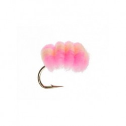 Nymphs Pure blood line baby pink oregon cheese $2.34