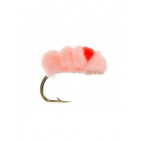 Nymphs Pure blood dot peachy king flame $2.34