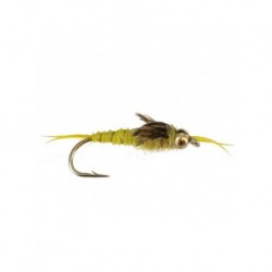 Nymphs Pure bh epoxy stonefly golden $2.34