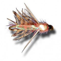 Nymphs Pure Water Boatman $2.34