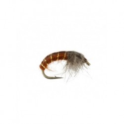 Nymphs Pure czechmate brown $2.34