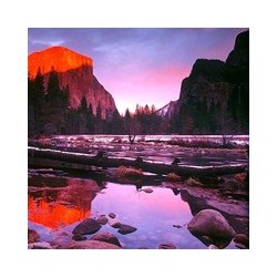 Nymphs Pure block about box $2.34