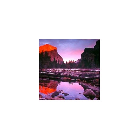 Nymphs Pure block about box $2.34