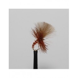Dries fiery brown grunter $2.34