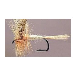 Dries light cahill button $2.34