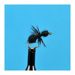 Dries Black Ant $2.34