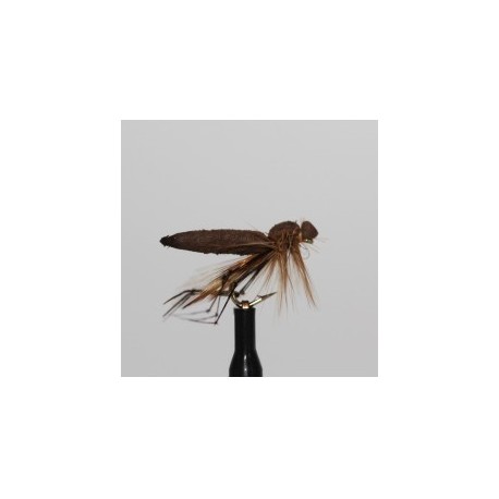 Dries orange foam daddy $2.34