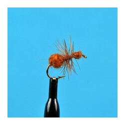 Dries Brown Ant $2.34