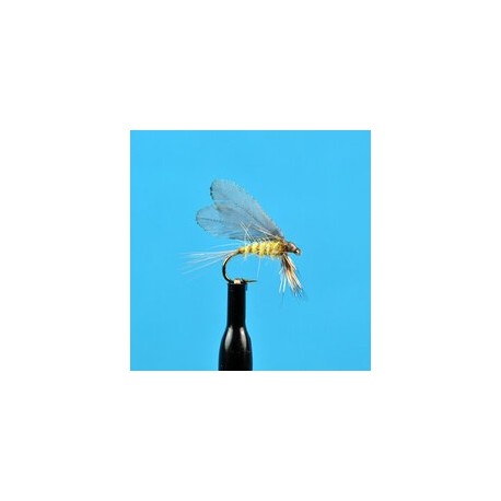 Dries Burnt Wing Pale Evening Dun $2.34